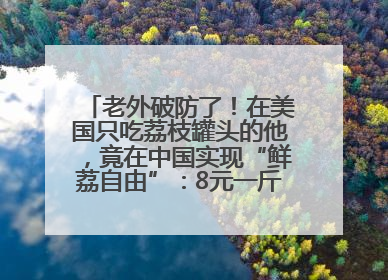 老外破防了！在美国只吃荔枝罐头的他，竟在中国实现“鲜荔自由”：8元一斤敞开吃！