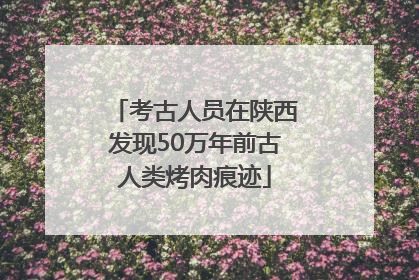 考古人员在陕西发现50万年前古人类烤肉痕迹