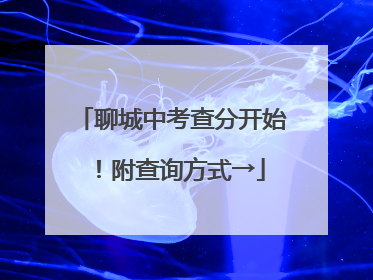 聊城中考查分开始！附查询方式→