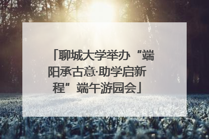 聊城大学举办“端阳承古意·助学启新程”端午游园会
