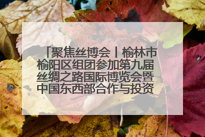 聚焦丝博会丨榆林市榆阳区组团参加第九届丝绸之路国际博览会暨中国东西部合作与投资贸易洽谈会