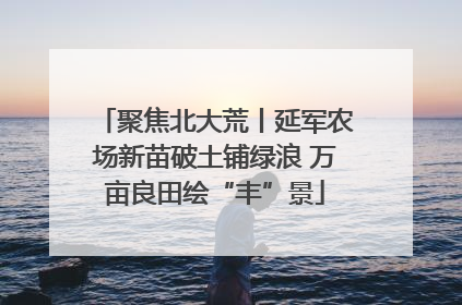 聚焦北大荒丨延军农场新苗破土铺绿浪 万亩良田绘“丰”景