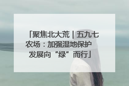 聚焦北大荒｜五九七农场：加强湿地保护 发展向“绿”而行