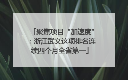 聚焦项目“加速度”：浙江武义这项排名连续四个月全省第一