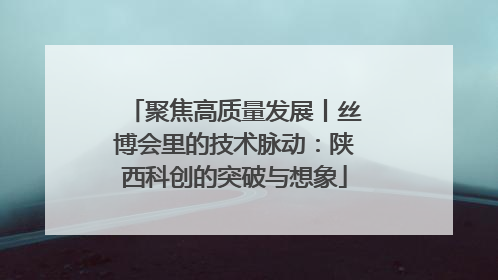 聚焦高质量发展丨丝博会里的技术脉动：陕西科创的突破与想象