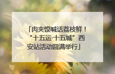肉夹馍喊话荔枝鲜！“十五运·十五城”西安站活动圆满举行