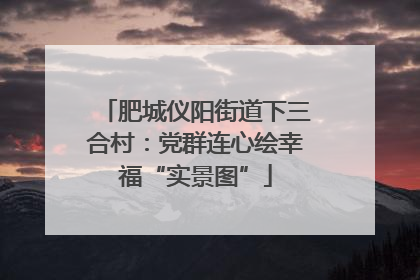 肥城仪阳街道下三合村：党群连心绘幸福“实景图”