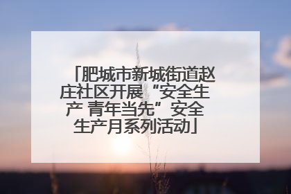 肥城市新城街道赵庄社区开展“安全生产 青年当先”安全生产月系列活动