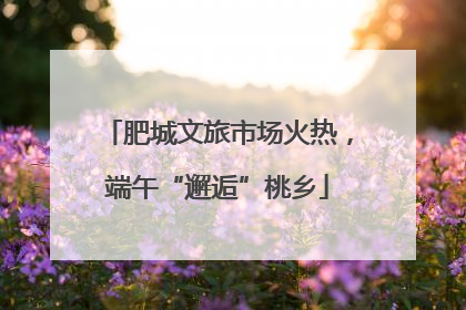 肥城文旅市场火热，端午“邂逅”桃乡