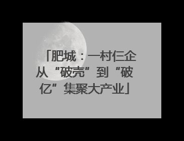 肥城：一村仨企从“破壳”到“破亿”集聚大产业