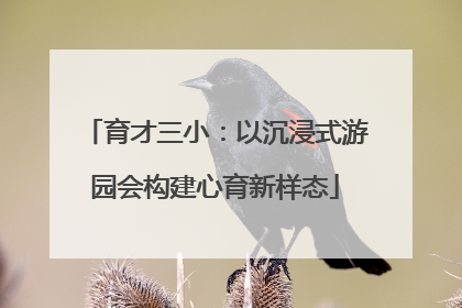 育才三小：以沉浸式游园会构建心育新样态