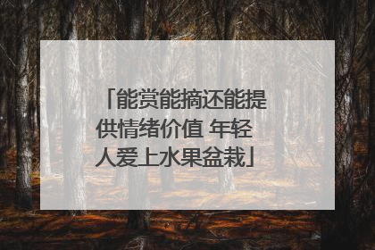 能赏能摘还能提供情绪价值 年轻人爱上水果盆栽