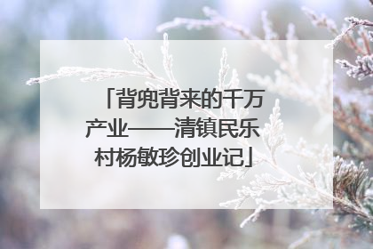 背兜背来的千万产业——清镇民乐村杨敏珍创业记