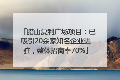 腊山复利广场项目：已吸引20余家知名企业进驻，整体招商率70%