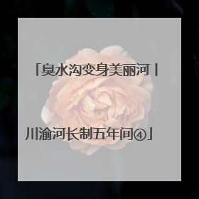 臭水沟变身美丽河丨川渝河长制五年间④