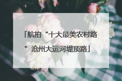 航拍“十大最美农村路”沧州大运河堤顶路