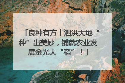 良种有方丨泗洪大地“种”出美妙，铺就农业发展金光大“稻”！