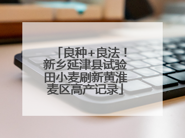 良种+良法！新乡延津县试验田小麦刷新黄淮麦区高产记录