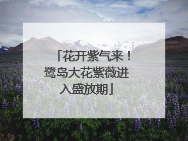 花开紫气来！鹭岛大花紫薇进入盛放期