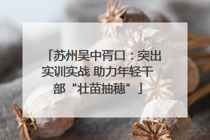 苏州吴中胥口：突出实训实战 助力年轻干部“壮苗抽穗”