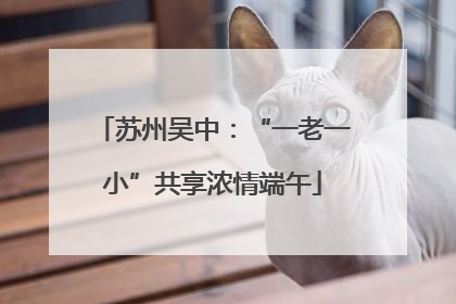 苏州吴中：“一老一小”共享浓情端午