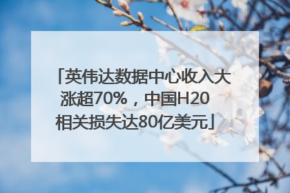 英伟达数据中心收入大涨超70%，中国H20相关损失达80亿美元