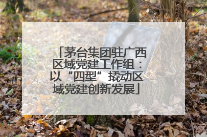 茅台集团驻广西区域党建工作组：以“四型”撬动区域党建创新发展