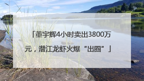 董宇辉4小时卖出3800万元，潜江龙虾火爆“出圈”
