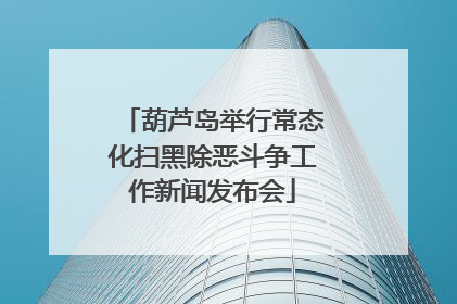 葫芦岛举行常态化扫黑除恶斗争工作新闻发布会