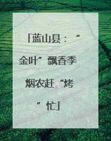 蓝山县：“金叶”飘香季 烟农赶“烤”忙