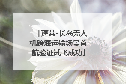 蓬莱-长岛无人机跨海运输场景首航验证试飞成功