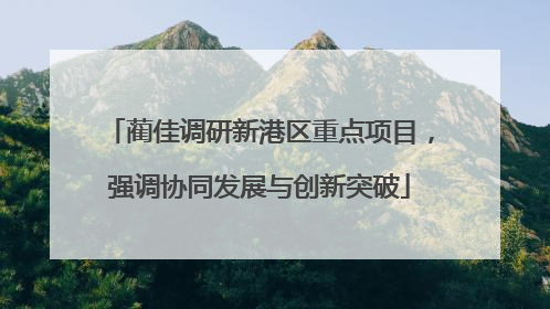 蔺佳调研新港区重点项目，强调协同发展与创新突破