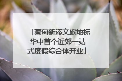 蔡甸新添文旅地标 华中首个近郊一站式度假综合体开业