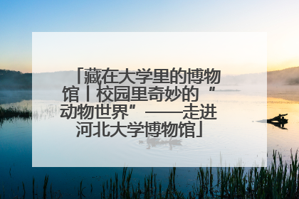藏在大学里的博物馆丨校园里奇妙的“动物世界”——走进河北大学博物馆