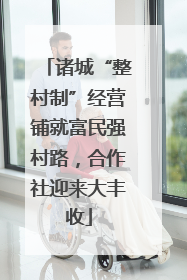 诸城“整村制”经营铺就富民强村路，合作社迎来大丰收