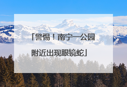 警惕！南宁一公园附近出现眼镜蛇