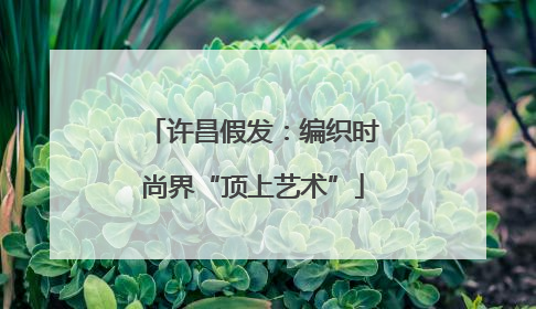 许昌假发：编织时尚界“顶上艺术”