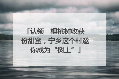认领一棵桃树收获一份甜蜜，宁乡这个村邀你成为“树主”