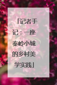 记者手记：一座秦岭小城的乡村美学实践