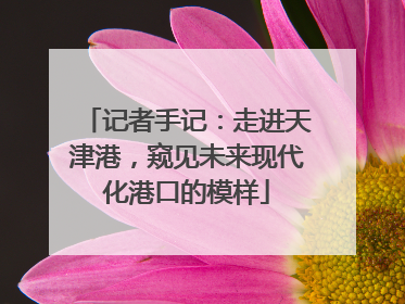 记者手记：走进天津港，窥见未来现代化港口的模样