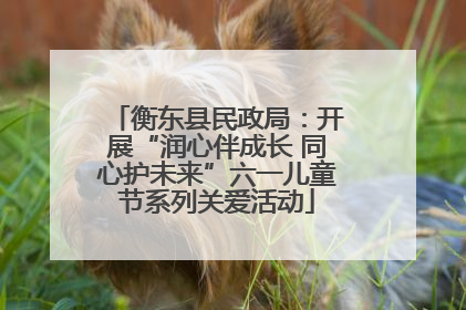 衡东县民政局：开展“润心伴成长 同心护未来”六一儿童节系列关爱活动