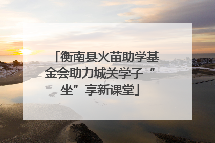 衡南县火苗助学基金会助力城关学子“坐”享新课堂