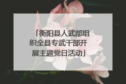 衡阳县人武部组织全县专武干部开展主题党日活动