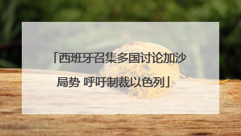 西班牙召集多国讨论加沙局势 呼吁制裁以色列