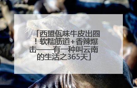 西盟佤味牛皮出圈！软糯筋道+香辣爆击——有一种叫云南的生活之365天