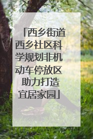 西乡街道西乡社区科学规划非机动车停放区 助力打造宜居家园