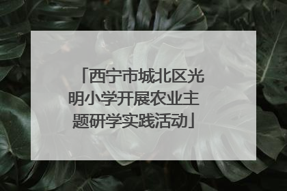 西宁市城北区光明小学开展农业主题研学实践活动