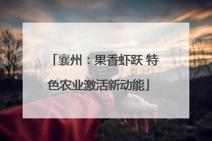 襄州：果香虾跃 特色农业激活新动能