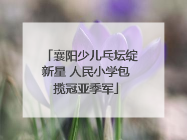 襄阳少儿乓坛绽新星 人民小学包揽冠亚季军
