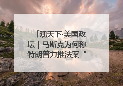 观天下·美国政坛｜马斯克为何称特朗普力推法案“令人作呕”